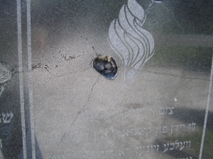 Holocaust Memorial - Kolomyya